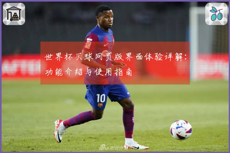 世界杯买球网页版界面体验详解：功能介绍与使用指南