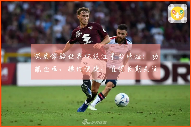 深度体验世界杯投注平台地址：功能全面，操作便捷，值得长期关注