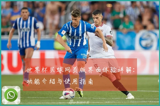 世界杯买球网页版界面体验详解：功能介绍与使用指南