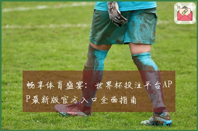 畅享体育盛宴：世界杯投注平台APP最新版官方入口全面指南