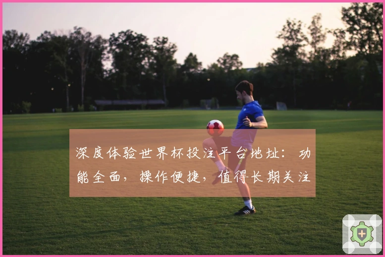 深度体验世界杯投注平台地址：功能全面，操作便捷，值得长期关注