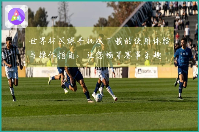 世界杯买球手机版下载的使用体验与操作指南，让您畅享赛事乐趣
