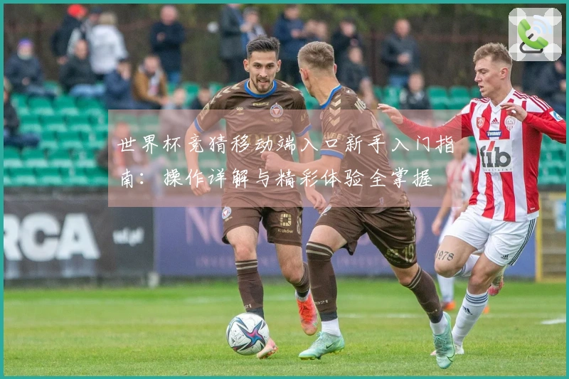 世界杯竞猜移动端入口新手入门指南：操作详解与精彩体验全掌握