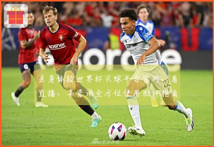 亲身体验世界杯买球平台官网，看直播、享资讯全方位使用测评指南