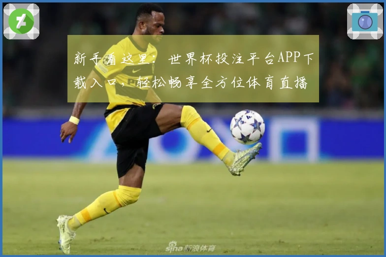 新手看这里：世界杯投注平台APP下载入口，轻松畅享全方位体育直播体验