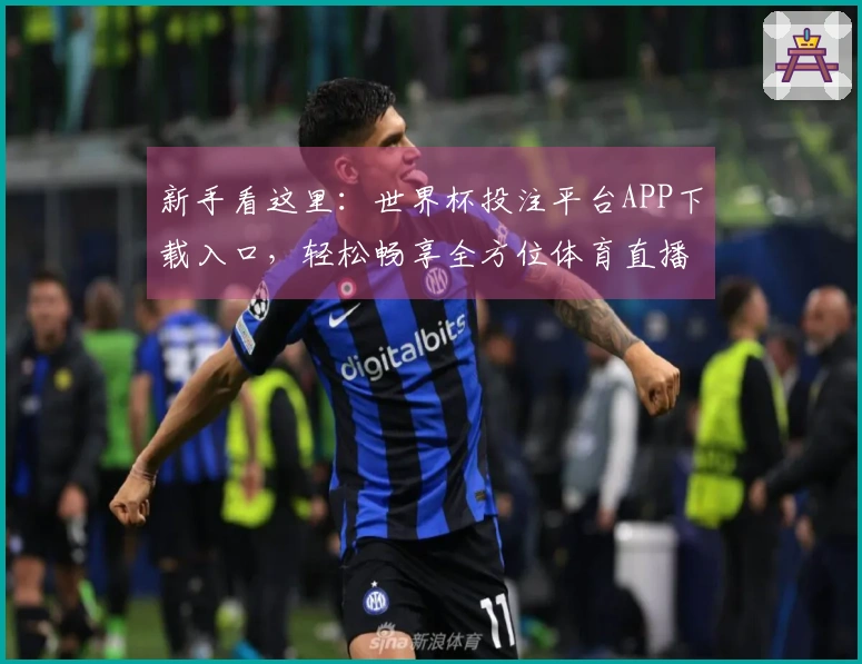 新手看这里:世界杯投注平台APP下载入口,轻松畅享全方位体育直播体验