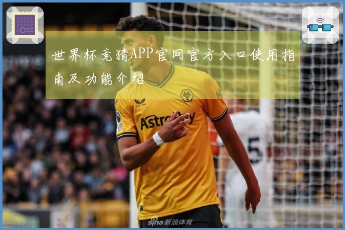 世界杯竞猜APP官网官方入口使用指南及功能介绍