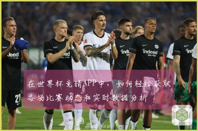 在世界杯竞猜APP中，如何轻松获取各场比赛动态和实时数据分析